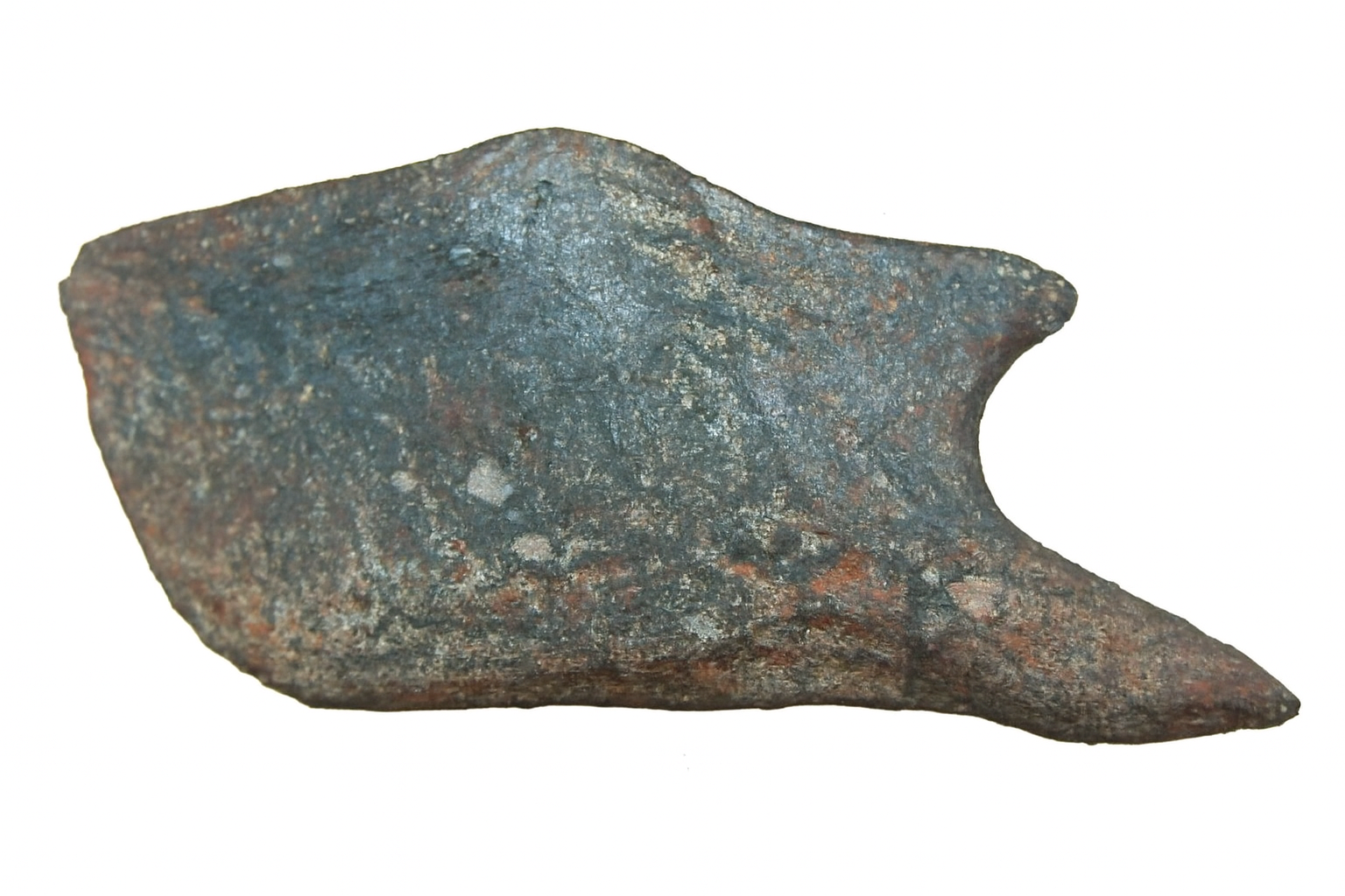 Garfish Scales
